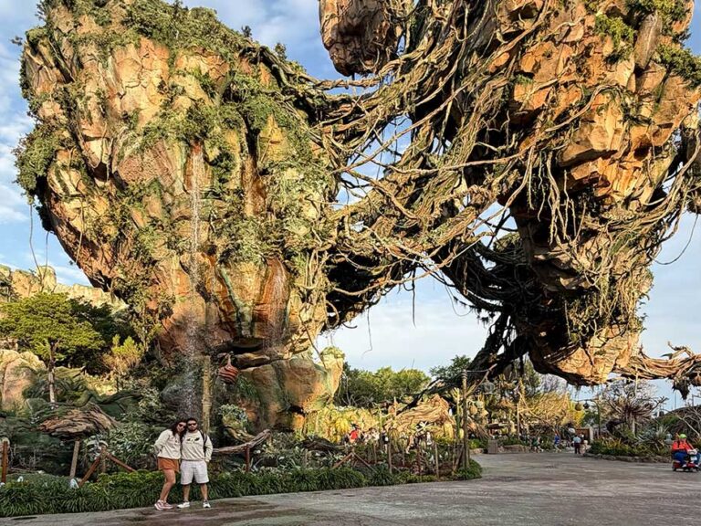 pandora-animal-kingdom